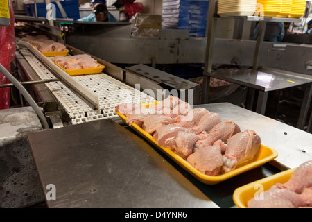 Arbeiter bereiten Hühnerschlachtkörpern auf der Linie in einer Aufbereitungsanlage in Delaware, USA am 1. März 2013. Stockfoto