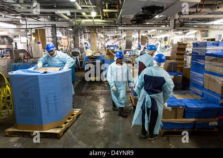 Arbeiter bereiten Hühnerschlachtkörpern auf der Linie in einer Aufbereitungsanlage in Delaware, USA am 1. März 2013. Stockfoto