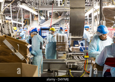 Arbeiter bereiten Hühnerschlachtkörpern auf der Linie in einer Aufbereitungsanlage in Delaware, USA am 1. März 2013. Stockfoto