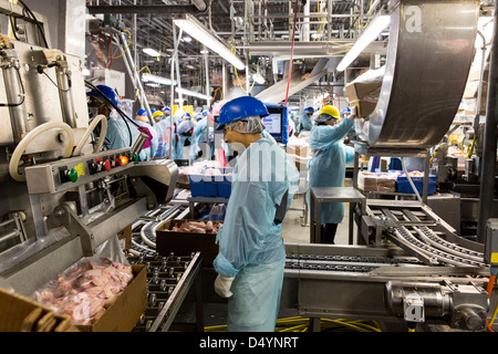 Arbeiter bereiten Hühnerschlachtkörpern auf der Linie in einer Aufbereitungsanlage in Delaware, USA am 1. März 2013. Stockfoto