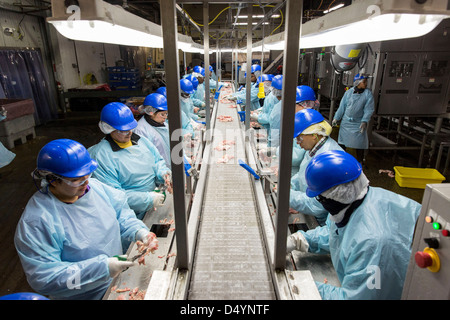 Arbeiter bereiten Hühnerschlachtkörpern auf der Linie in einer Aufbereitungsanlage in Delaware, USA am 1. März 2013. Stockfoto