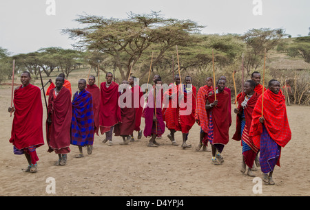 Masai Feier Stockfoto