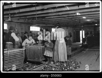 4 Jahre alte Maria, die Austern shucks. Das Kind neigt dazu, wenn er nicht arbeitet, Februar 1911 Stockfoto