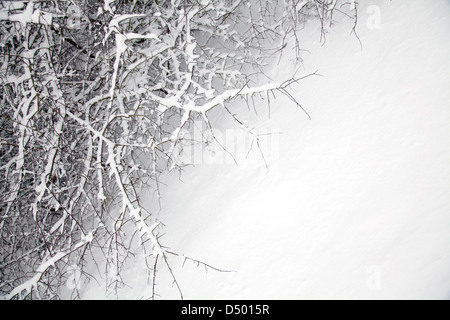 Eine abstrakte Winter Hintergrund mit frisch gefallenem Schnee. Stockfoto