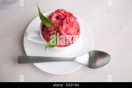 Bild des neuen Blackberry-Sorbet dessert Stockfoto