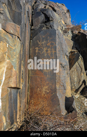 Petroglyphen auf dem Stein in Tamgaly, Kasachstan Stockfoto