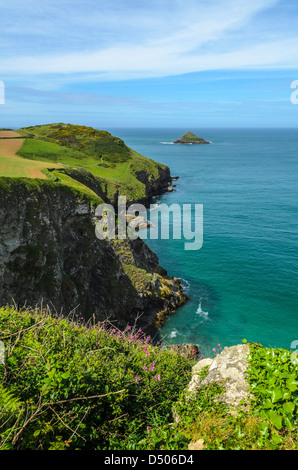 Com-Kopf auf der North Cornwall-Küste in der Nähe von Polzeath, Cornwall, England. Stockfoto