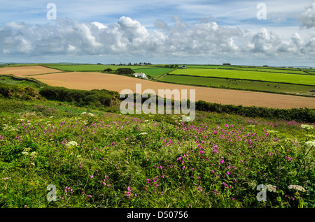 Pentireglaze in der Nähe von neuen Polzeath an der Küste von North Cornwall, England. Stockfoto