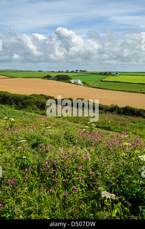 Pentireglaze in der Nähe von neuen Polzeath an der Küste von North Cornwall, England. Stockfoto