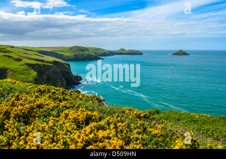 Carnweather und Bürzel Punkt auf der Pentire-Halbinsel in der Nähe von Polzeath, Cornwall, England. Stockfoto