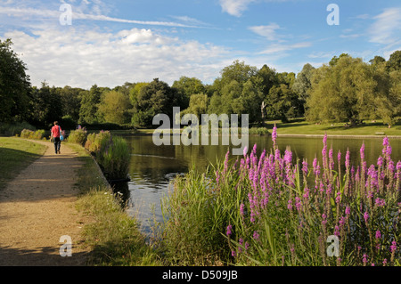 London, Hampstead Heath, Highgate Teiche, Modell Bootfahren Teich. Stockfoto