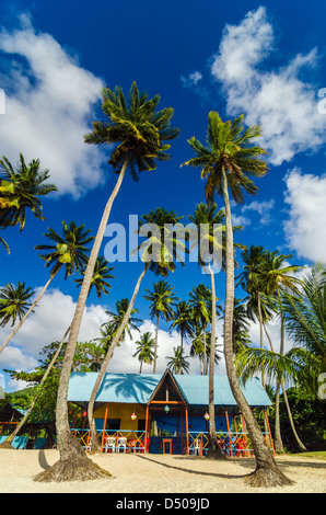 Bunte Strand Shack und Palmen Bäume in San Andres y Providencia, Kolumbien Stockfoto