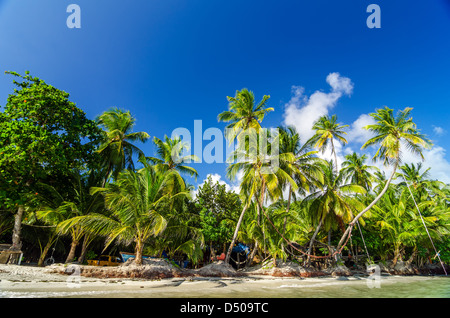 Palmen auf karibische Küste mit einsamen Restaurant dahinter in San Andres y Providencia, Kolumbien Stockfoto