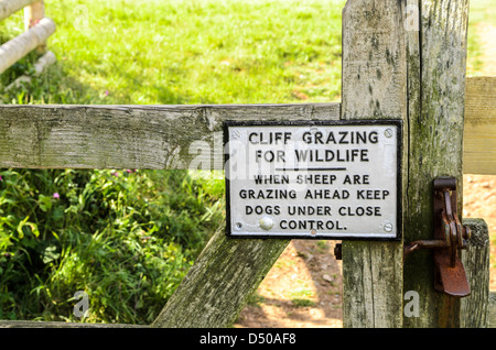 Melden Sie sich auf ein Tor in Cornwall England Achtung Hundebesitzer ihre Hunde unter Kontrolle zu halten, wenn Schafe weiden. Stockfoto