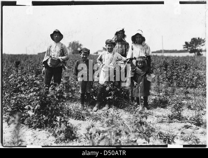 Slebzak Familie (Polnisch) arbeitet auf Bottomley Hof. Sie haben hier gearbeitet, 3 Jahre und einen Winter, Juni 1909 Stockfoto