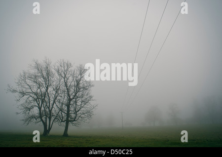 Stromleitungen und die Landschaft im Nebel Stockfoto