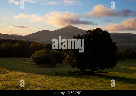 Morgendämmerung über große Zuckerhut von Powerscourt Estate, County Wicklow, Ireland. Stockfoto