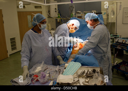 Knieoperation mit der laparoskopischen Operation Stockfoto