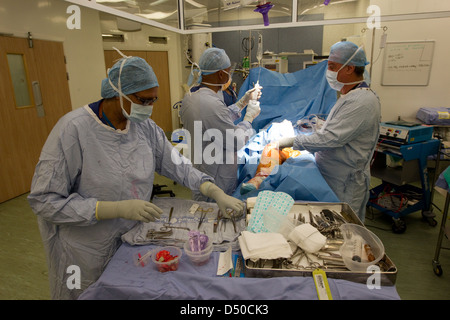 Knieoperation mit der laparoskopischen Operation Stockfoto