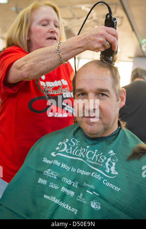 New York, USA. 19. März 2013. PETE MAGNUSON, Calhoun High School Lehrer und Koordinator der St. Baldrick Kopf rasieren Veranstaltung, bekommt seinen Kopf rasiert für wohltätige Zwecke. Calhoun überschritten das Ziel gesetzt $50.000 für Kinderkrebsforschung. Darüber hinaus viele Pferdeschwanz abgeschnitten Locks of Love-Stiftung, die sammelt Spenden Haar Perücken für Kinder zu machen, die ihre Haare aus medizinischen Gründen verloren gespendet werden. Bildnachweis: Ann E Parry / Alamy Live News Stockfoto