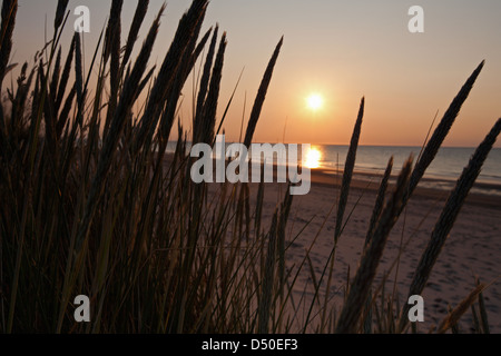ENGLAND; NORFOLK; HOLKHAM; DÜNEN; SONNENUNTERGANG; DÄMMERUNG; GRASS; SAND; SILHOUETTE Stockfoto