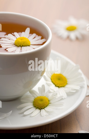 Kräuter Tee und Kamille Blumen Tasse Stockfoto