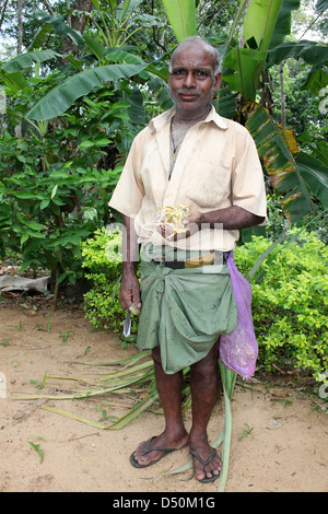Sri Lankan Gummizapfer hält einen Ball koaguliert aus Gummi Latex geklopft Stockfoto
