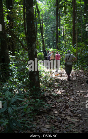 Öko-Touristen zu Fuß in der Messe Iwokrama Rainforest Conservation, Atta Rainforest Lodge. Guyana. Stockfoto