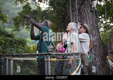 Iwokrama Canopy Walkway und Ökotouristen Vogelbeobachtung mit einem lokalen Führer. Plattform und verbindet geschlungen überbrücken. Guyana. Stockfoto