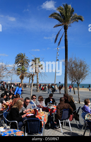 Barceloneta, Street Café am Citybeach, Barcelona, Spanien Stockfoto