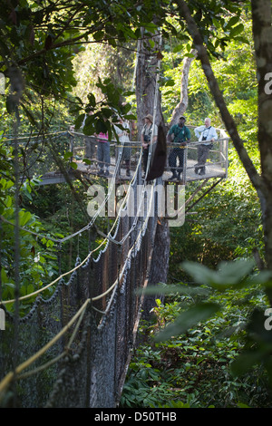 Iwokrama Canopy Walkway und Ökotouristen Vogelbeobachtung mit einem lokalen Führer. Plattform und verbindet geschlungen überbrücken. Guyana. Stockfoto