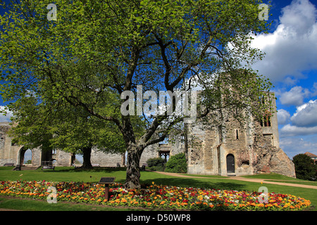 Sommer-Blick über die Ruinen von Newark Castle, Newark auf Trent, Nottinghamshire, England, Großbritannien, Großbritannien Stockfoto