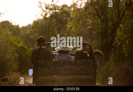 Touristen auf Safari im Kanha National Park in Madhya Pradesh, Indien. Stockfoto