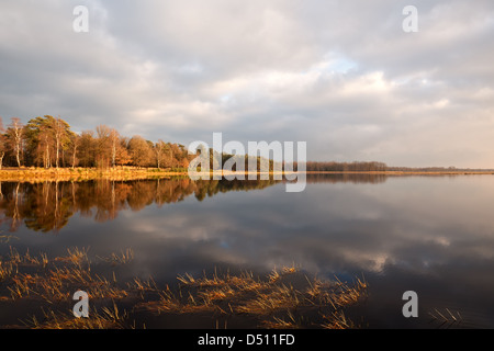 kleinen wilden See mit reflektierte Himmel in Dwingelderveld, Drenthe Stockfoto
