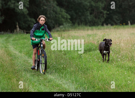 Neu Kätwin, Deutschland, junge fährt Fahrrad neben einem Hund auf einer Wiese Stockfoto