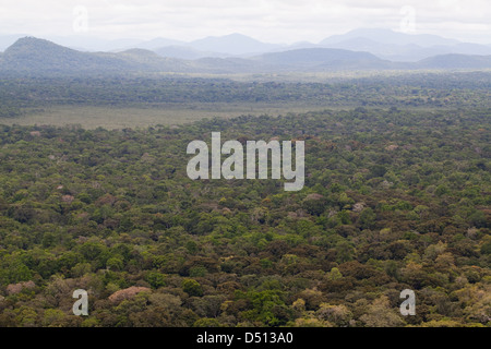 Tropische Feuchtgebiete trockengelegt für die Landwirtschaft. Hinterland von Georgetown, Hauptstadt von Guyana. Süd-Amerika. Luftaufnahme. Stockfoto