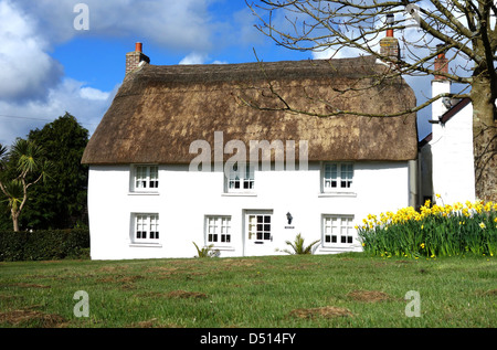 Eine idyllische reetgedeckte Häuschen im Dorf von Veryan, Cornwall, England, UK Stockfoto