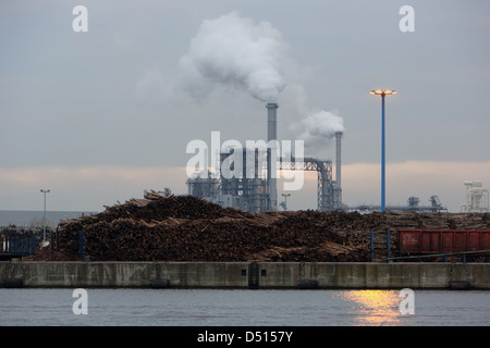 Wismar, Deutschland, Rauchende Schlote der industriellen Anlage Klausner Nordic Timber Stockfoto