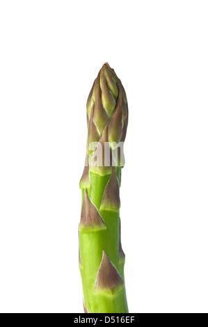 einzelne Spargel Frühling isoliert auf weiss Stockfoto