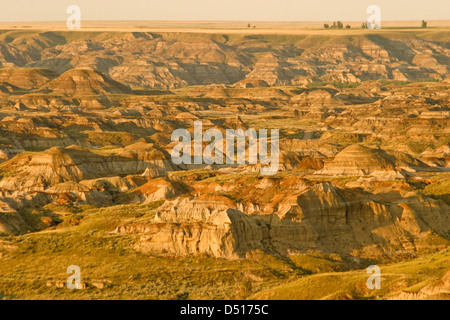 Sonnenuntergang leuchtet die Badlands im Dinosaur Provincial Park in Alberta, Kanada Stockfoto