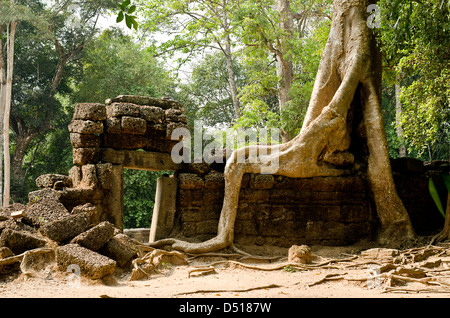 Tor von Ta Prohm, Angkor Komplex, Kambodscha Stockfoto