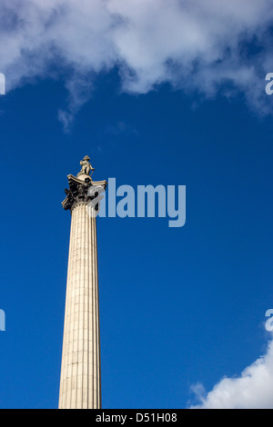 Nelson Säule, Trafalgar Square, London, England, GB, UK Stockfoto