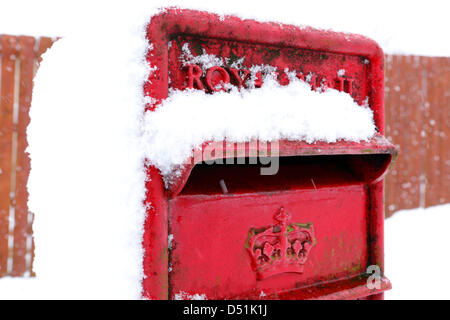 Lochwinnoch, Renfrewshire, Schottland, Großbritannien, Freitag, 22. März 2013. Schnee fällt auf eine Royal Mail Postbox Stockfoto