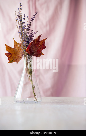 Bouquet von getrockneten Blumen und Ahorn Blätter in konischen Kolben über weißem Hintergrund Stockfoto