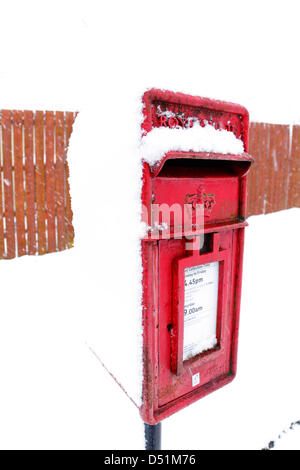 Lochwinnoch, Renfrewshire, Schottland, Großbritannien, Freitag, 22. März 2013. Schnee fällt auf eine Royal Mail Postbox Stockfoto