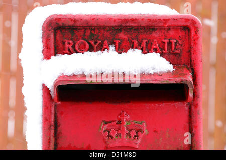 Lochwinnoch, Renfrewshire, Schottland, Großbritannien, Freitag, 22. März 2013. Schnee fällt auf eine Royal Mail Postbox Stockfoto