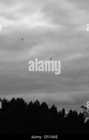 Segelflugzeuge im Flug über die Chiltern Hills, Buckinghamshire, England Stockfoto