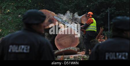 Polizei in Kampfmontur bewachen ein Holzfäller hacken einen Baum am Schlossgarden in Stuttgart, Deutschland, 1. Oktober 2010. Die gewalkt Baum bildet Teil einiger 300 Bäume, die im Rahmen der stark umstrittenen 4,1 Milliarden-Euro-Projekt gefällt werden ' Stuttgart 21', die eine Transformation der Stuttgarter Hauptbahnhof von einem oberirdischen Endstation für eine unterirdische durch Stati sieht Stockfoto