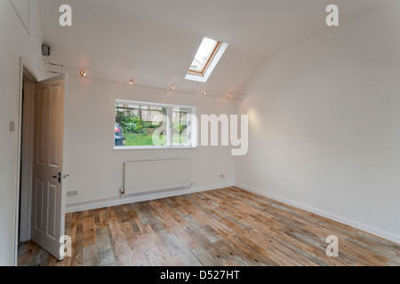 Eine große neue unbesetzt weiß lackiert hohe Decken, leeren Raum mit Velux Dachfenster. Stockfoto