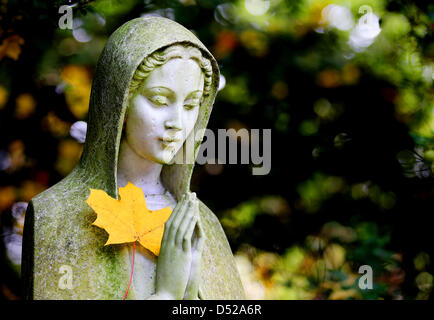 Eine gelbe Ahornblatt liegt auf einer Engelsstatue auf dem Friedhof "Melaten" in Köln, 29. Oktober 2010. Allerheiligen steht auf Montag, 1. November 2010 vor der Tür. An Allerheiligen gedenken Katholiken ihre verstorbenen Vorfahren und Freunde. Gläubigen ausdrücken ihr Vertrauen, das sie in die heilige Gemeinschaft mit Gott nach ihrem Tod genommen werden. Seit dem 9. Jahrhundert, alle Heiligen Da Stockfoto